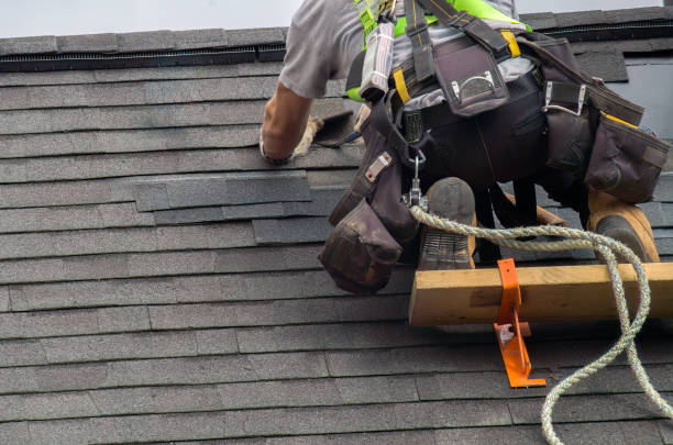 Best Storm Damage Roof Repair  in Oak Grove, KY